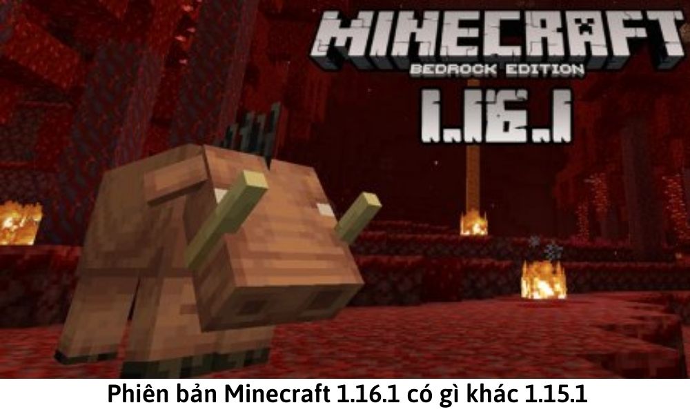 Phiên bản Minecraft 1.16.1 có gì khác 1.15.1