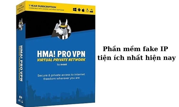 Hide my ASS Pro VPN