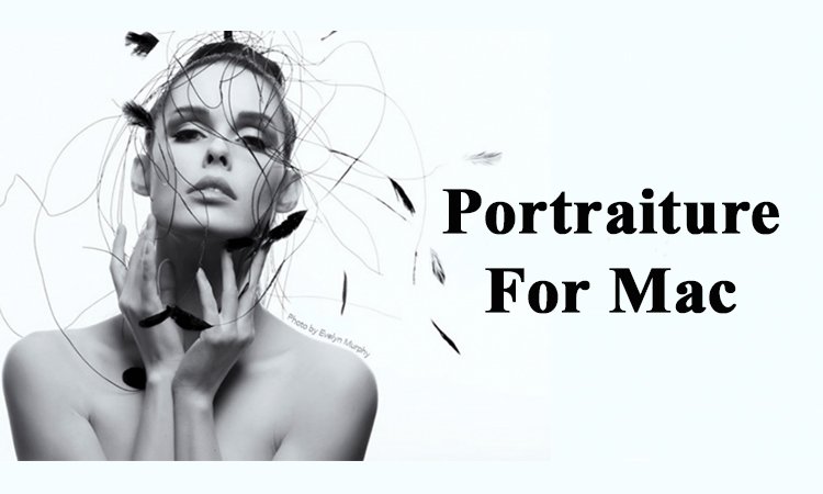 Giới thiệu về Portraiture